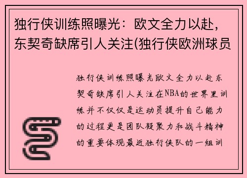 独行侠训练照曝光：欧文全力以赴，东契奇缺席引人关注(独行侠欧洲球员)