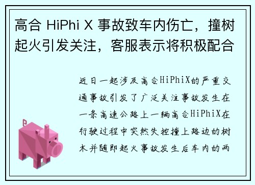 高合 HiPhi X 事故致车内伤亡，撞树起火引发关注，客服表示将积极配合调查